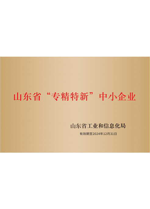 山東省“專(zhuān)精特新“中小企業(yè)